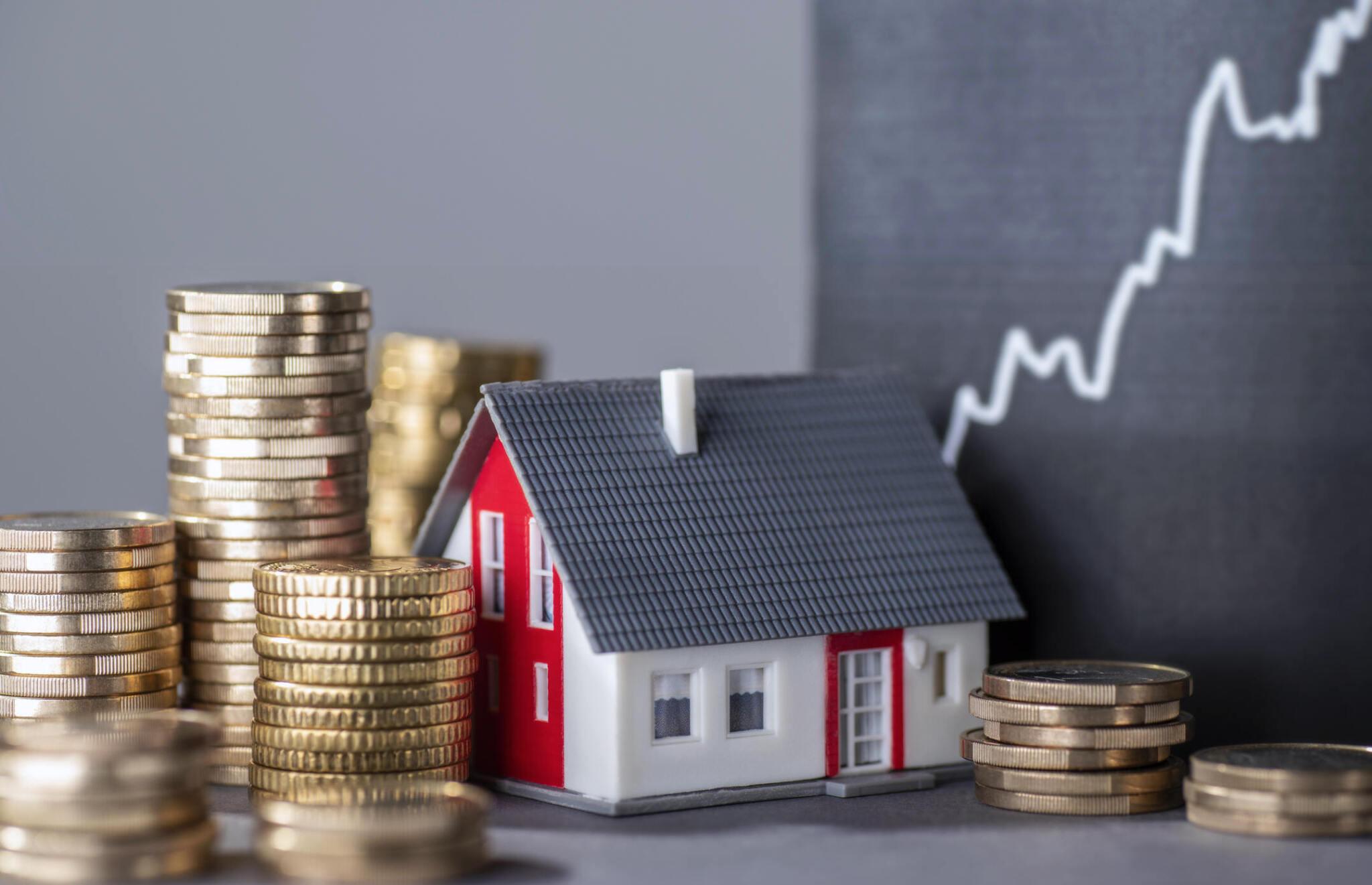 Loan Programs 1